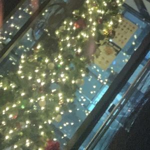 Meet your Posher, Sherry